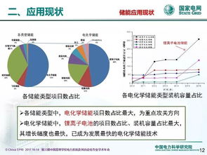 中國電力科學研究院李相俊 大規(guī)模電池儲能系統(tǒng)控制與應用關鍵技術及其發(fā)展趨勢